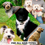 Authentic Wahl USA grooming product for dogs on display