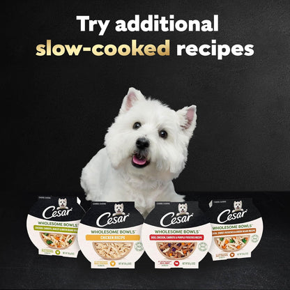 Authentic USA imported Cesar wholesome bowls chicken flavor food for adult dogs