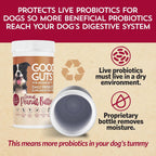 Gluten free grain free vegan pet probiotic for sensitive dog stomachs.