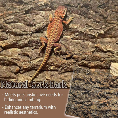 Bearded dragon climbing mat made of natural wood cork tile decoration.