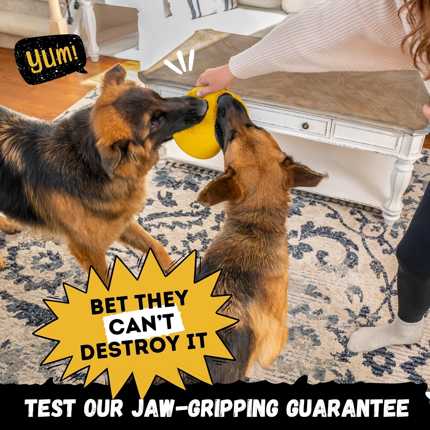 Durable 8 inch dog disc for aggressive chewers in grass