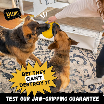 Durable 8 inch dog disc for aggressive chewers in grass