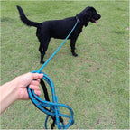 Heavy duty metal hardware on dog training leash