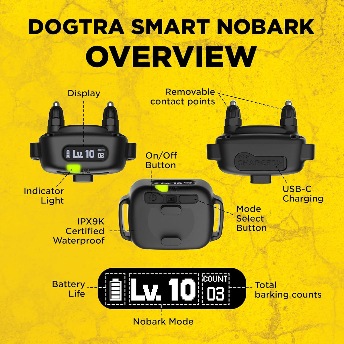 Dogtra Smart NOBARK Detects Whining and Barking, 33 ft Range App for Notifications, E-Collar, Behavior Report, Waterproof IPX9K, Compact Size for 10 lb Dogs, Triple Detection Accuracy - Image 9