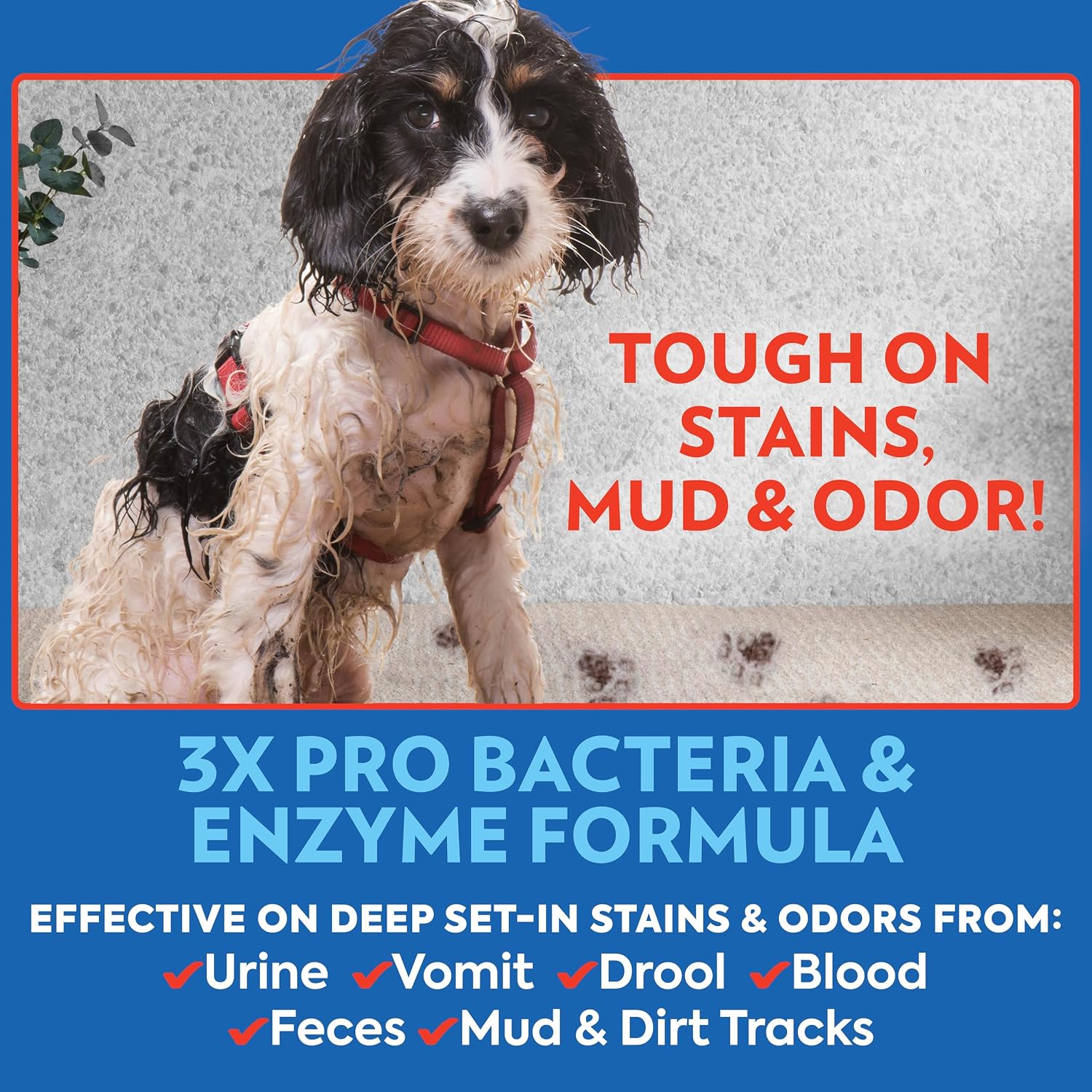 Close up of Out PetCare spray bottle label highlighting Pro-Bacteria formula