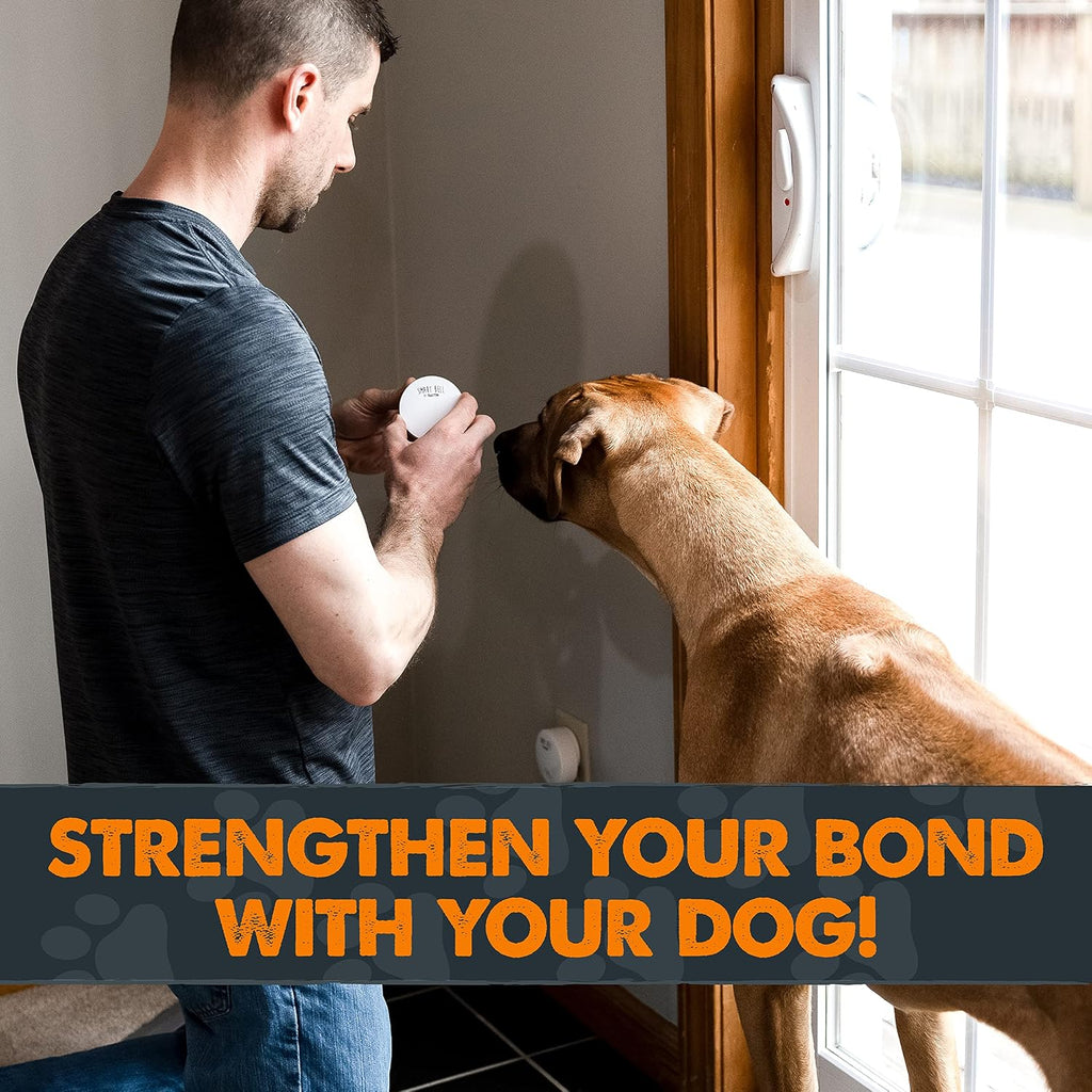 Professional dog training setup with Mighty Paw buttons
