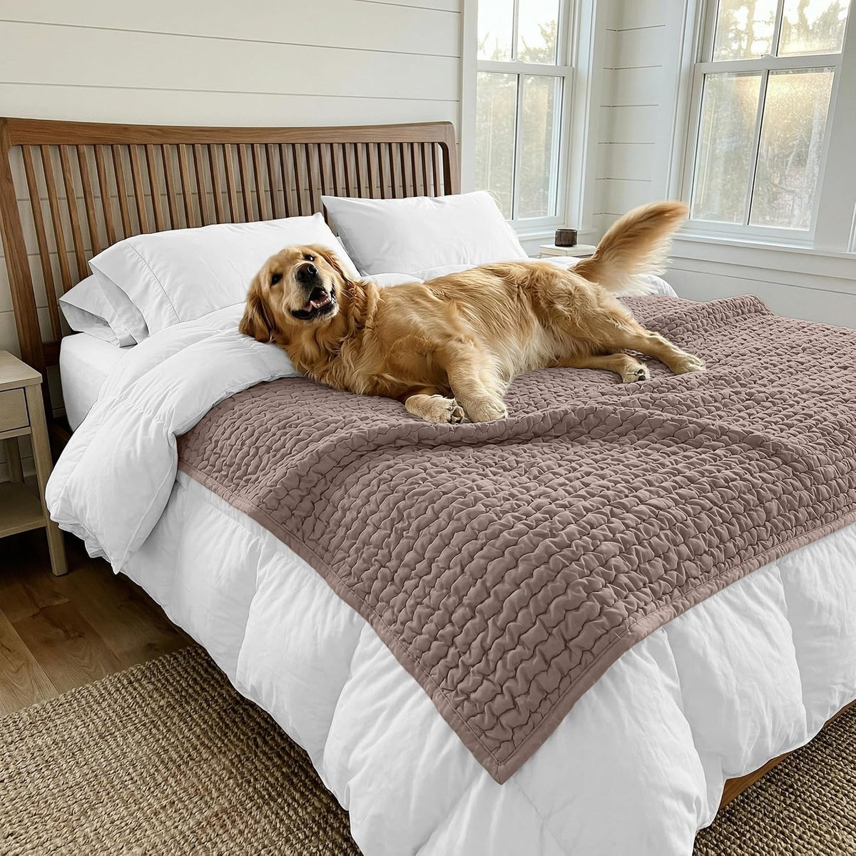 Paulato by Ga.I.Co. absorbent couch cover protecting a large sofa