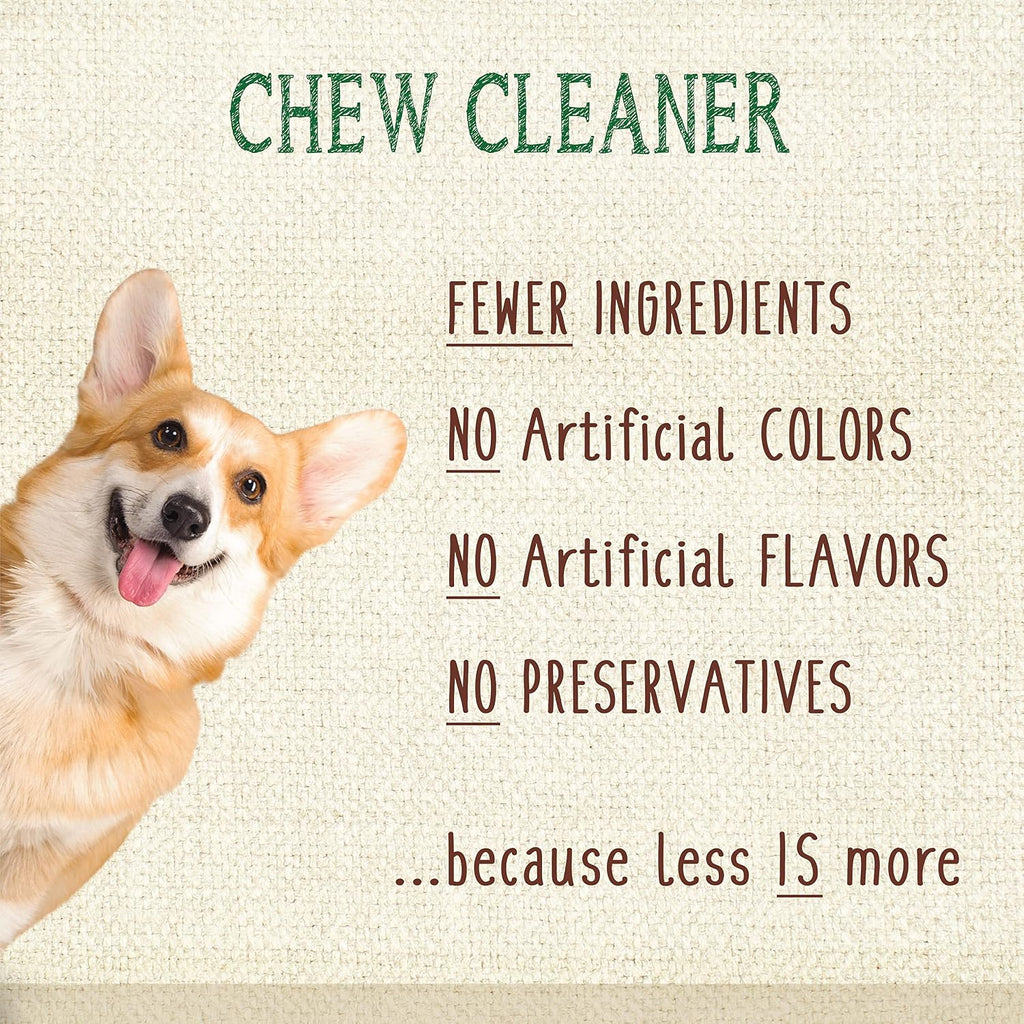 Authentic imported Nylabone Nutri Dent natural oral chews pack for plaque and tartar control