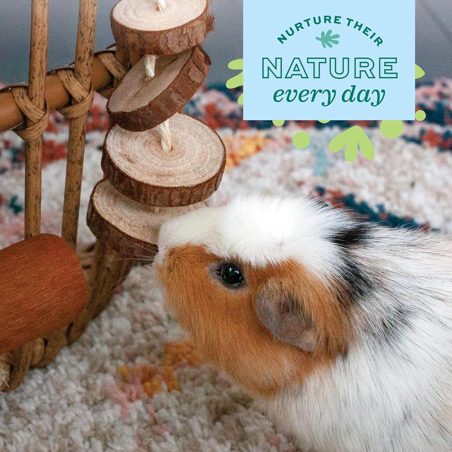 Oxbow small animal play accessories displayed to show the diverse shapes and sizes.