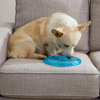 Close up of Petstages Orka Flyer thick grip rim