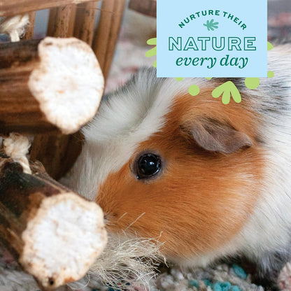 Five natural wood and fiber hanging toys from Oxbow designed for bunny and rat dental health.