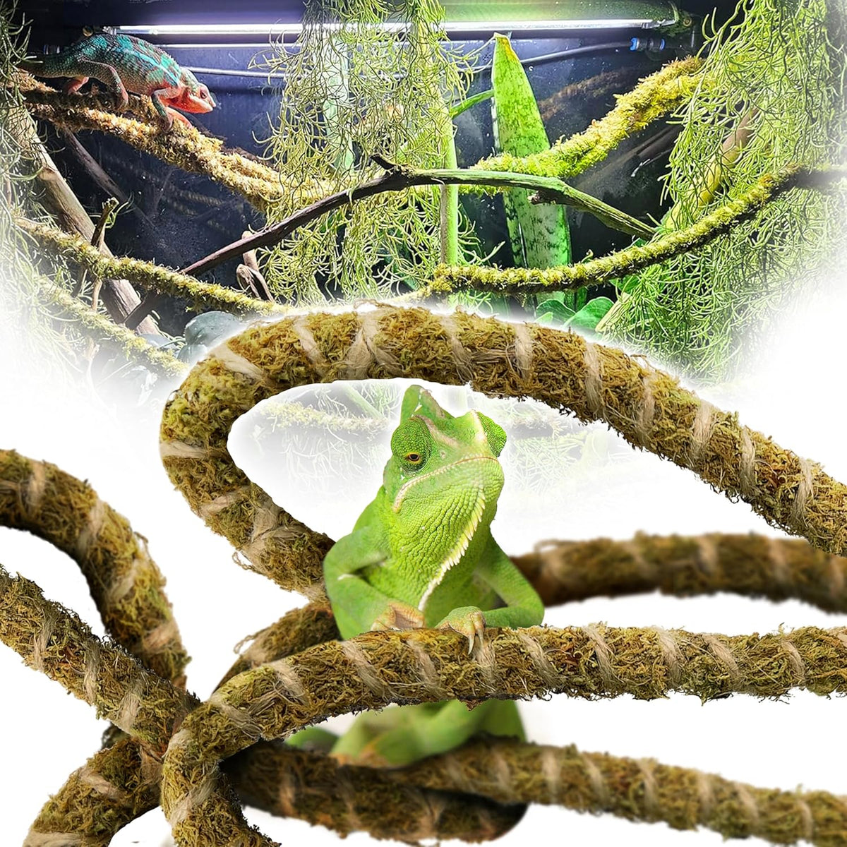 Full packaging and product display of Duspro 10FT reptile decor set