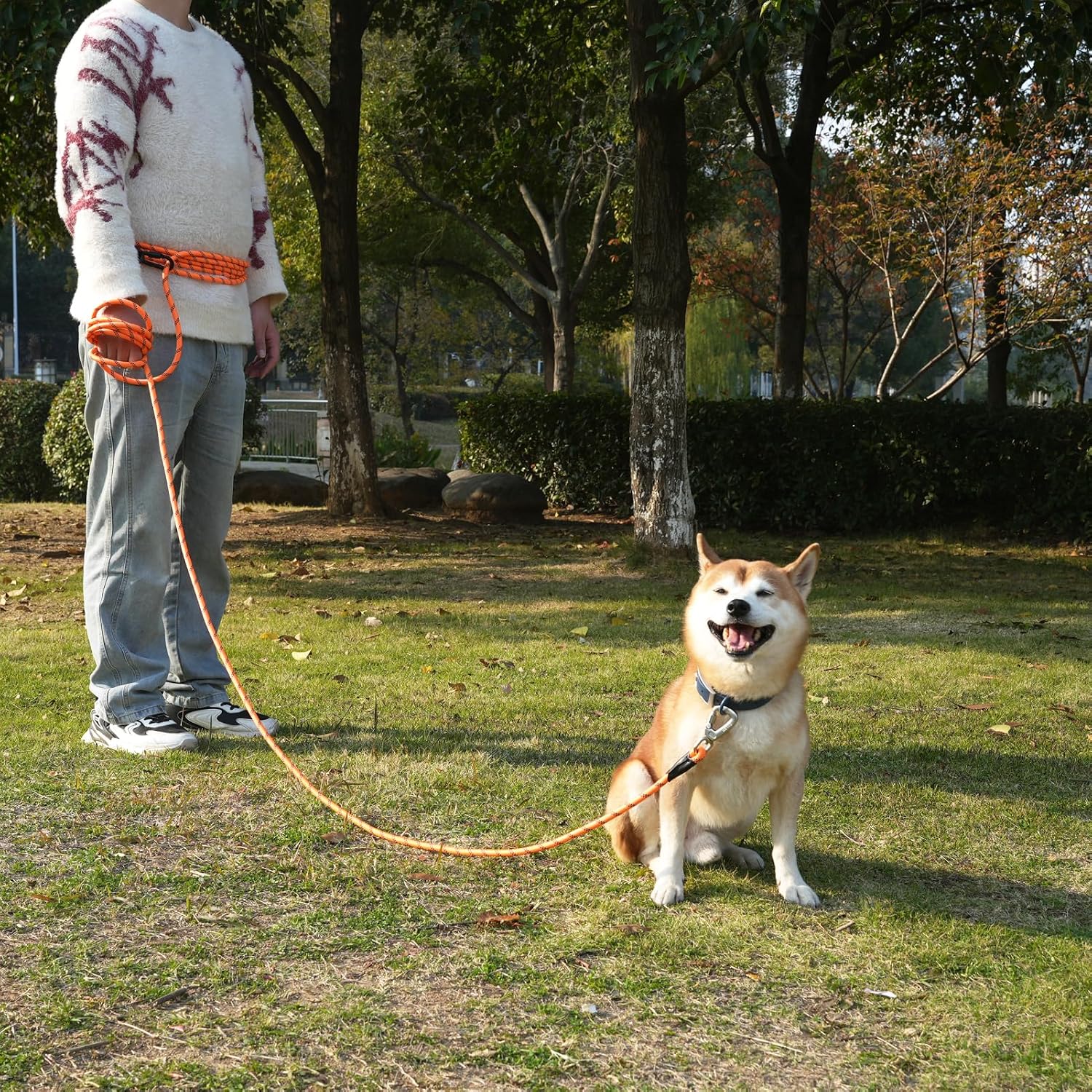 ZALER thick nylon check cord leash for medium dogs outdoor setup