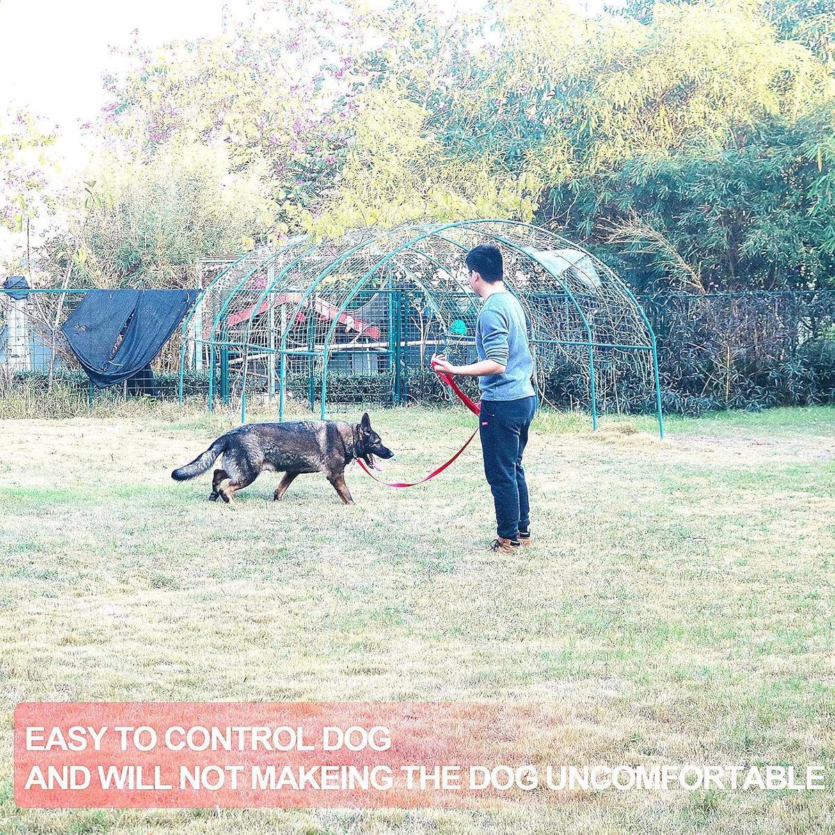 Siumouhoi pink obedience lead spread out illustrating full 20 feet distance capability for backyard play.