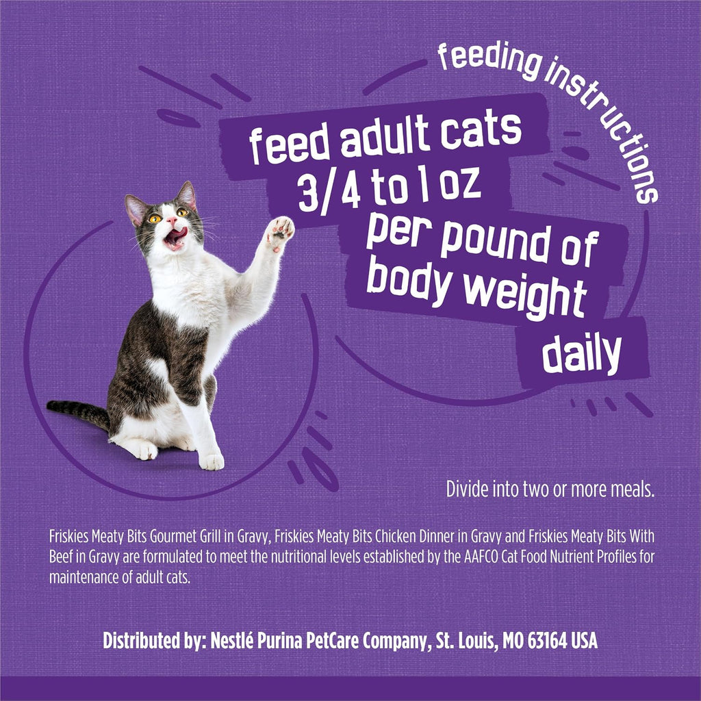 Healthy adult cat enjoying Purina Friskies wet cat food meal