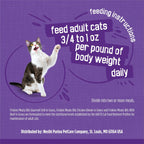 Healthy adult cat enjoying Purina Friskies wet cat food meal
