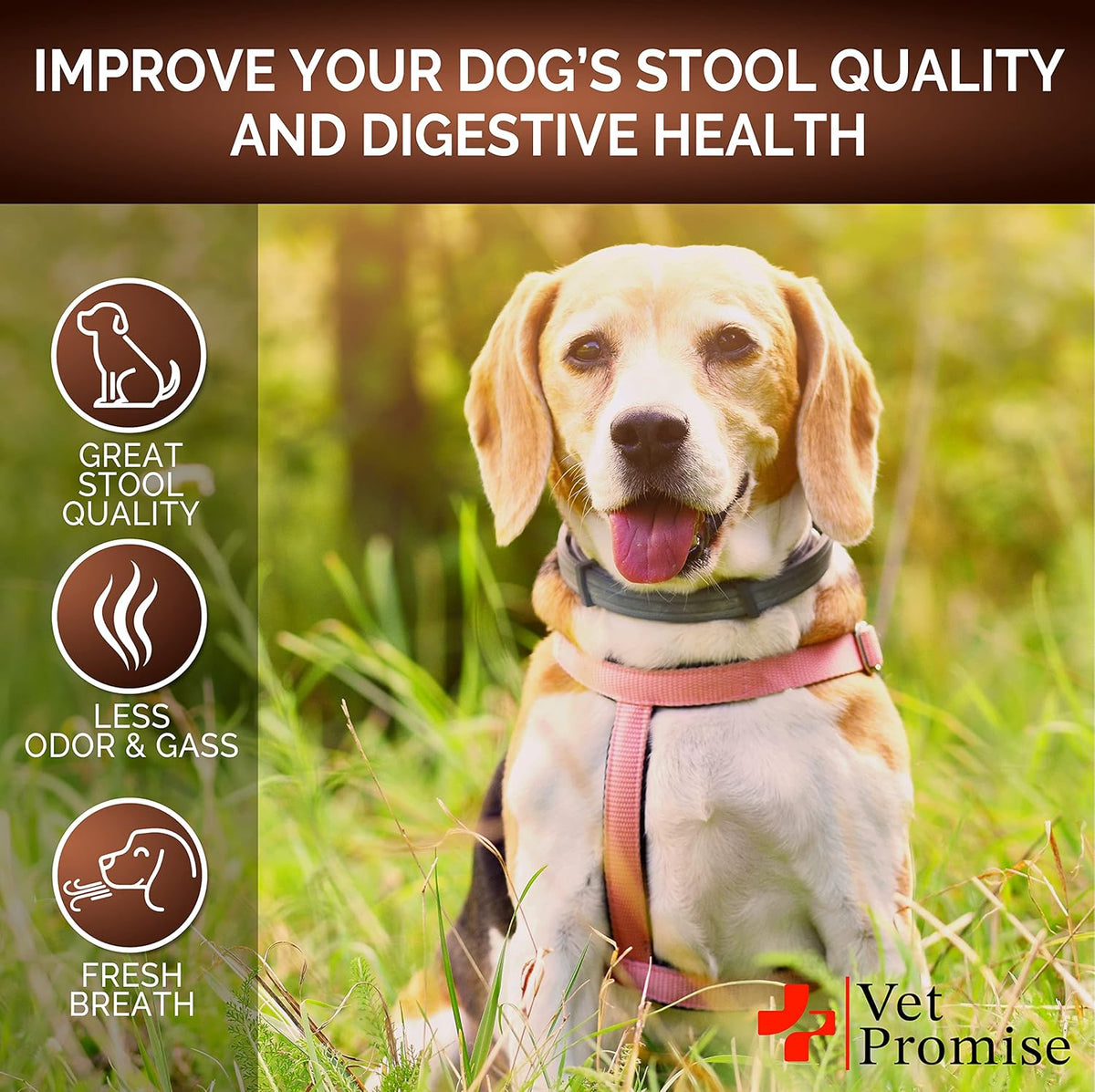 Chicken flavored soft chews for dog digestion