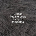 Usage demonstration of Adams Plus pet spray on a dog