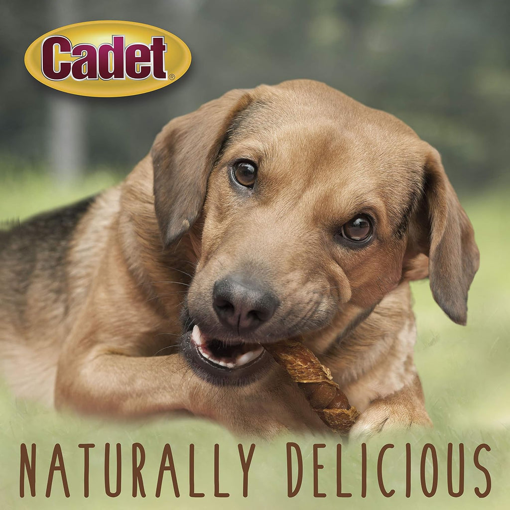 Cadet savory chicken and sweet potato stuffed dog chew sticks for dental health