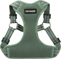 Best Pet Supplies Voyager Step-In Flex Dog Harness Moss Green front view on pet