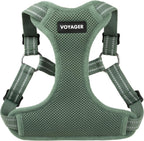 Best Pet Supplies Voyager Step-In Flex Dog Harness Moss Green front view on pet