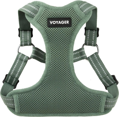Best Pet Supplies Voyager Step-In Flex Dog Harness Moss Green front view on pet