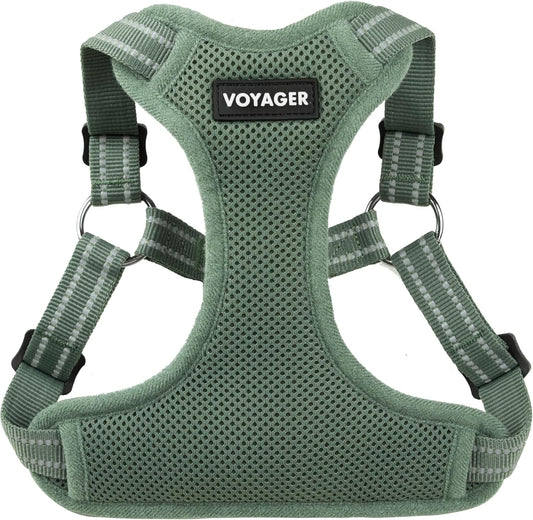 Best Pet Supplies Voyager Step-In Flex Dog Harness Moss Green front view on pet