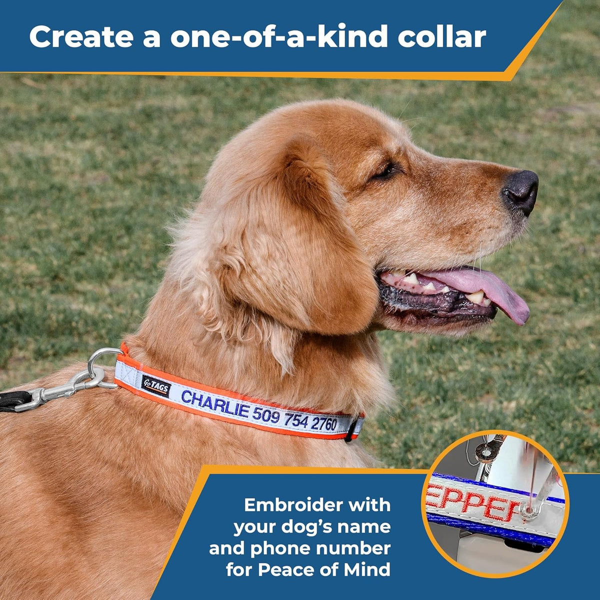 GoTags dog collar showing custom embroidered name and phone number