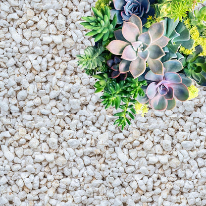 Close up view of the fine texture of premium natural stone gardening sand.