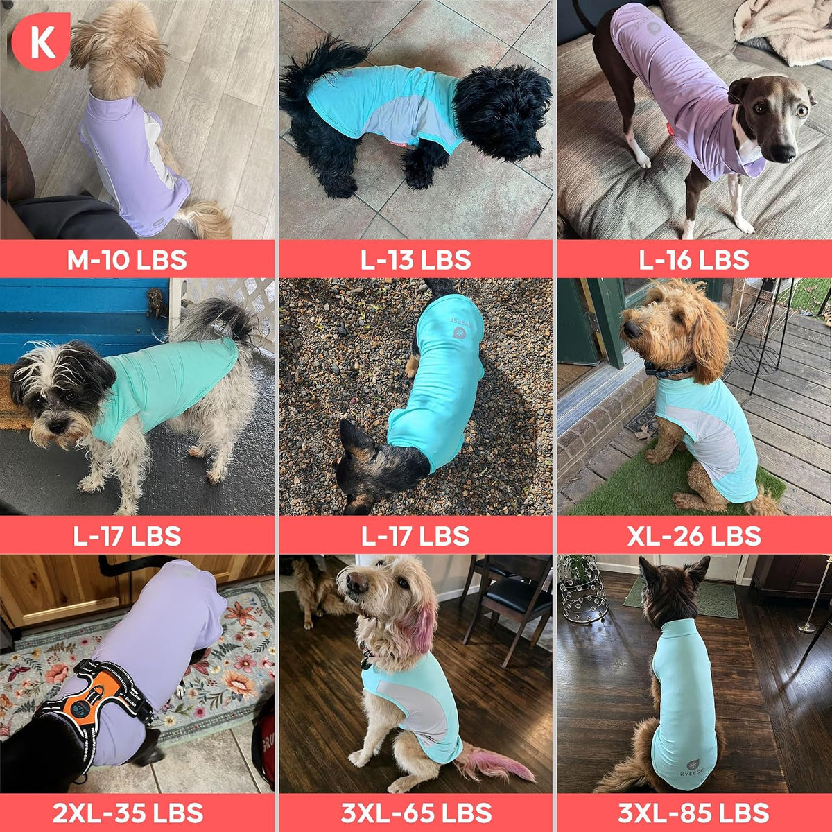 Kyeese dog shirt purple XL pack of two