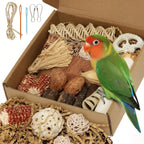 ZooVibe bird toy front view