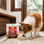 Open Farm, Freeze Dried Raw Dog Food, Morsels with 95% Meat, Organs & Bone, Organic Produce & Superfoods, Complete Meal or Freeze Dried Dog Food Topper, Grass-Fed Beef Recipe, 13.5oz Bag - Image 9