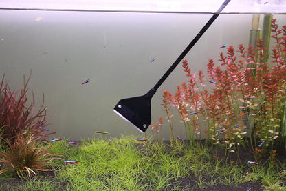 Algae scraper protective cover being utilized as a convenient gravel spatula inside a planted reef aquarium.