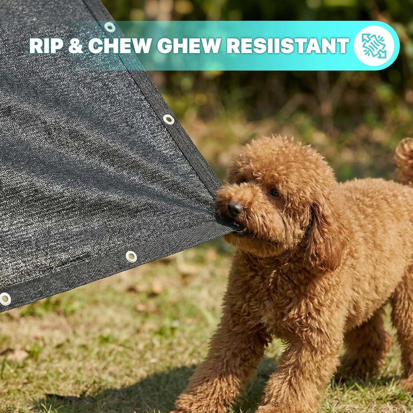 Heavy duty metal grommets along the edge of the black mesh tarp for easy setup