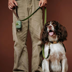 Close up of soft padded nylon handle on green faux leather pet leash