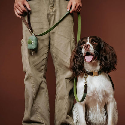 Close up of soft padded nylon handle on green faux leather pet leash