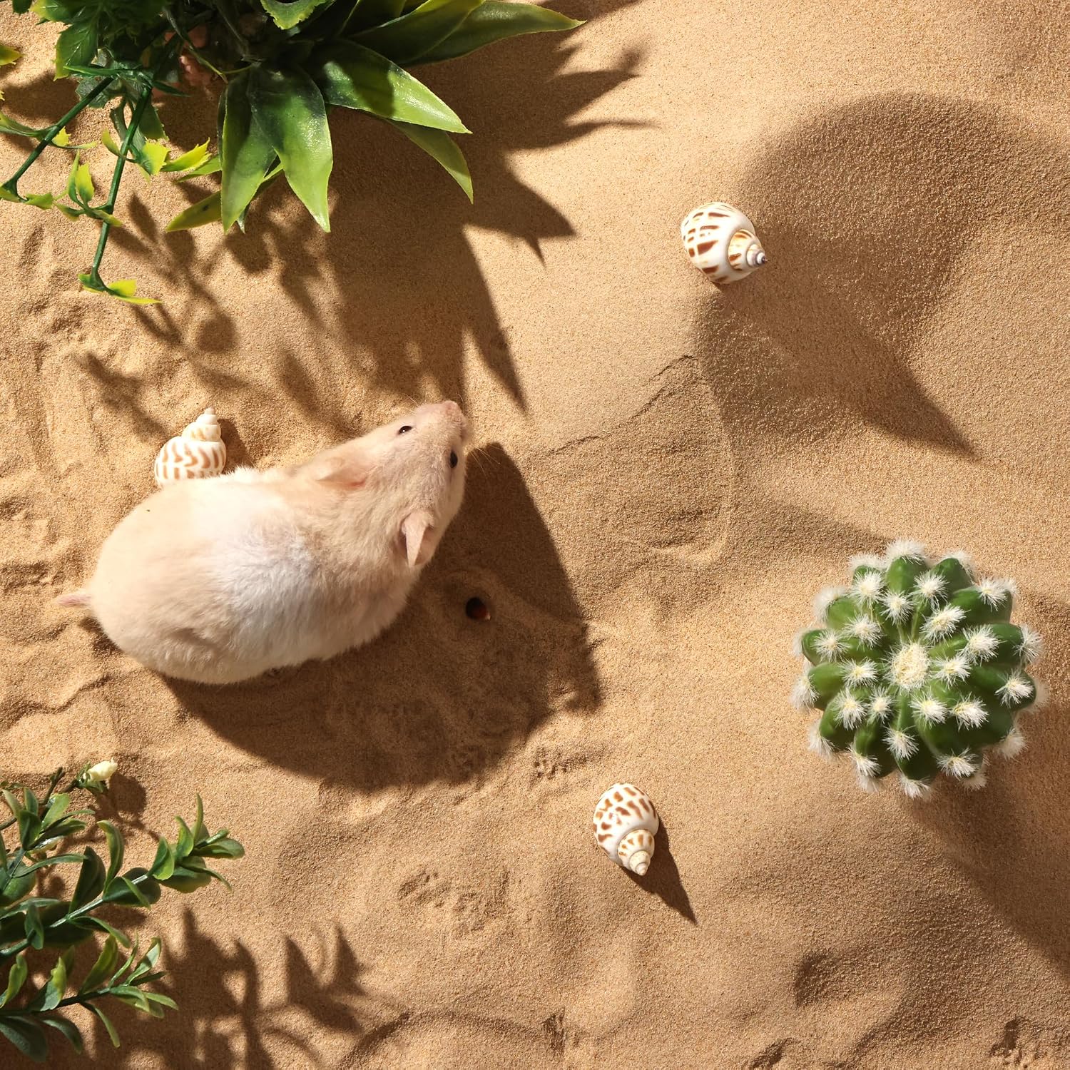 Close up of fine grain desert sand texture