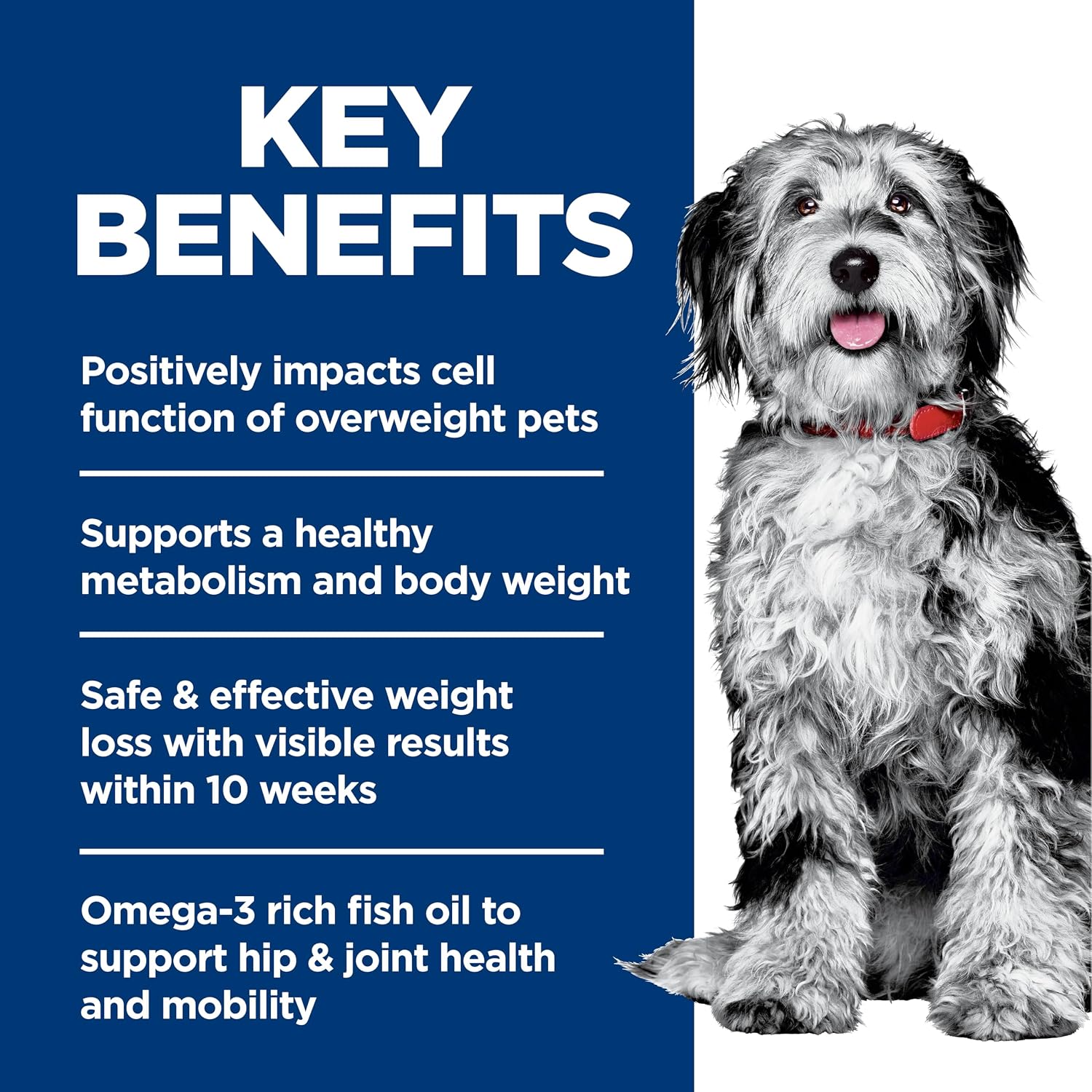 Dog food for weight loss and joint support ingredient overview