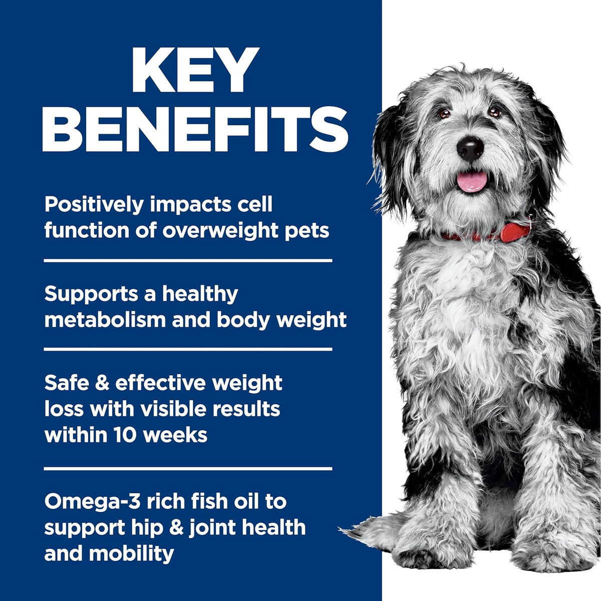 Dog food for weight loss and joint support ingredient overview