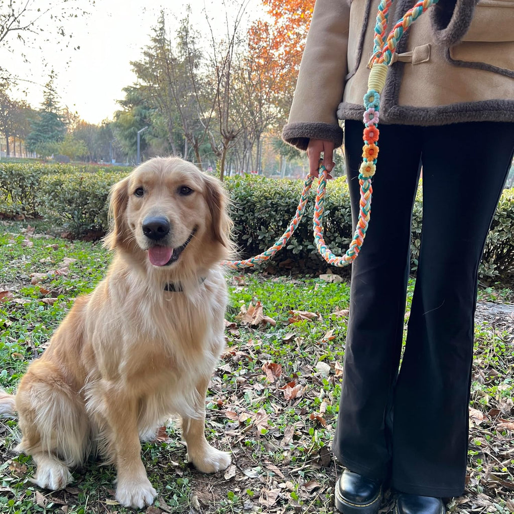 Aesthetic lifestyle shot of the unique floral handle pet leash for stylish dog owners