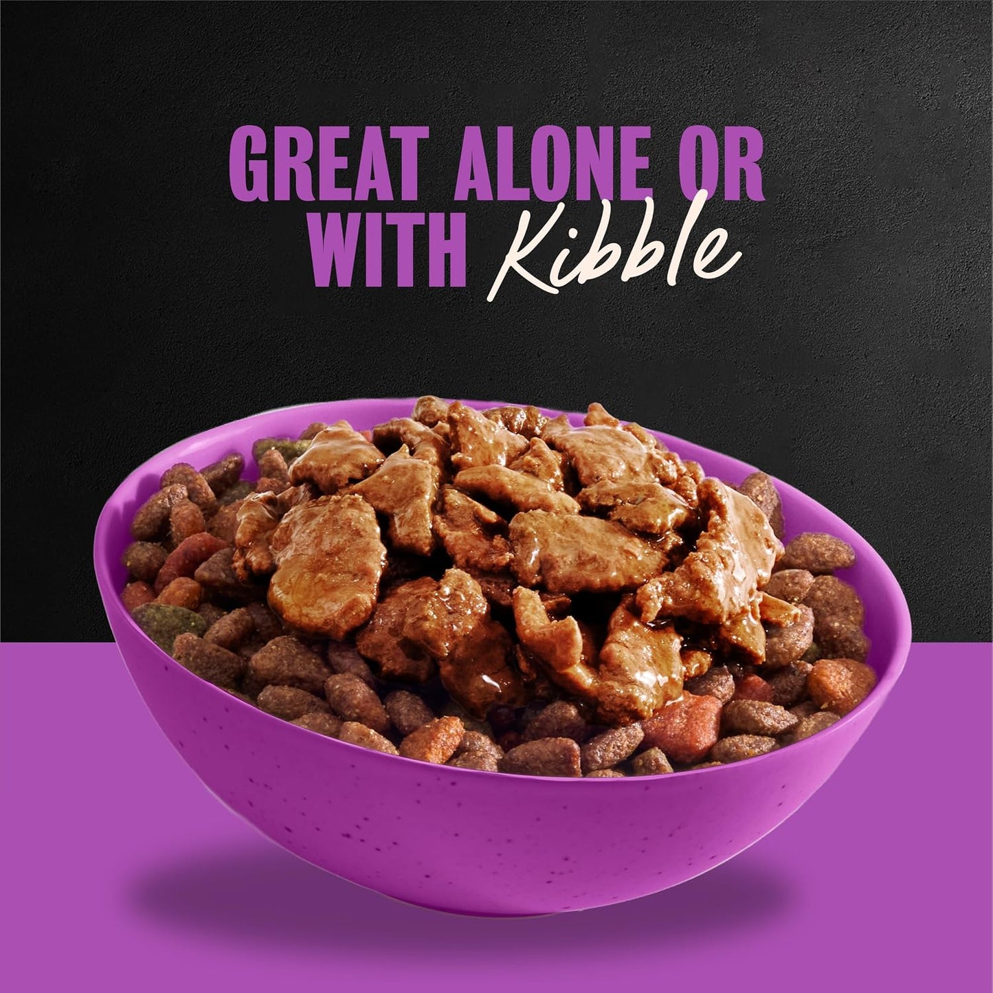 Cesar gourmet wet dog food in savory gravy sauce
