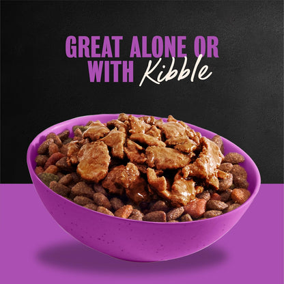 Cesar gourmet wet dog food in savory gravy sauce