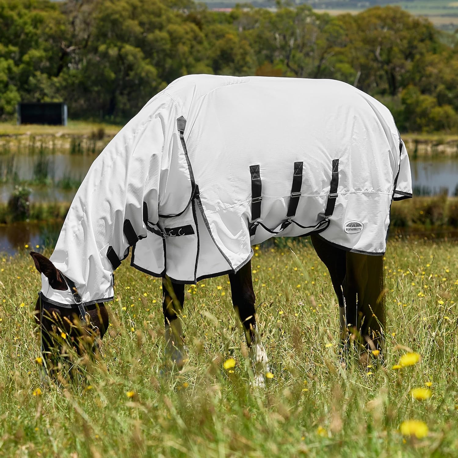 WeatherBeeta ComFiTec Sweet Itch Shield full neck and head coverage design