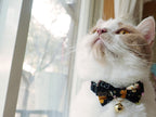 Adjustable slider and strap design for custom sizing on the pet accessory.