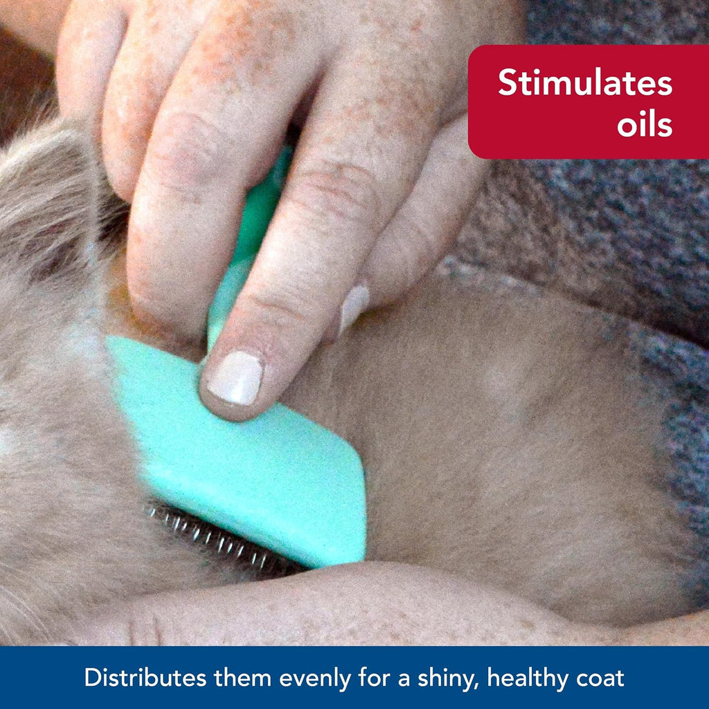 Coastal Pet Li'l Pals cat hair brush close up of bristles