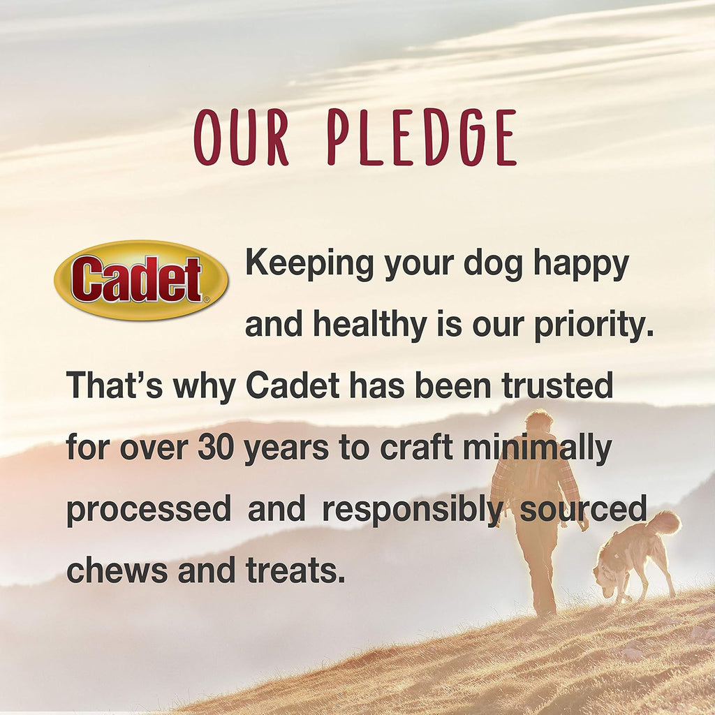 Cadet high protein dental chews for small and large adult dogs