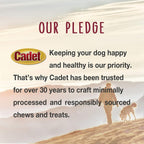 Cadet high protein dental chews for small and large adult dogs