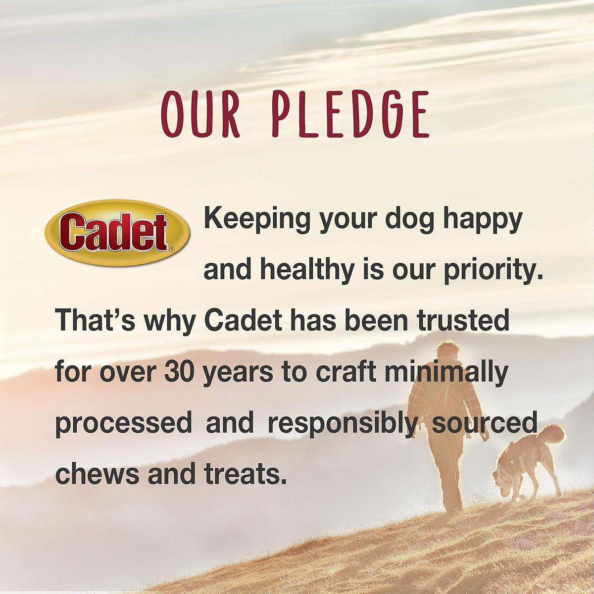 Cadet high protein dental chews for small and large adult dogs