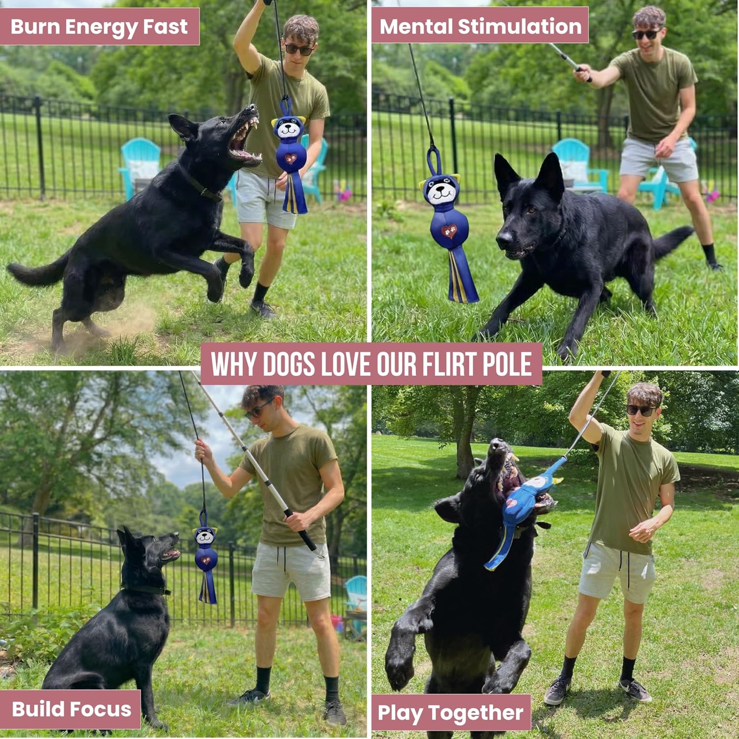 Premium USA imported dog chase toy with multi sensory squeaker and crinkle paper raccoon attachment