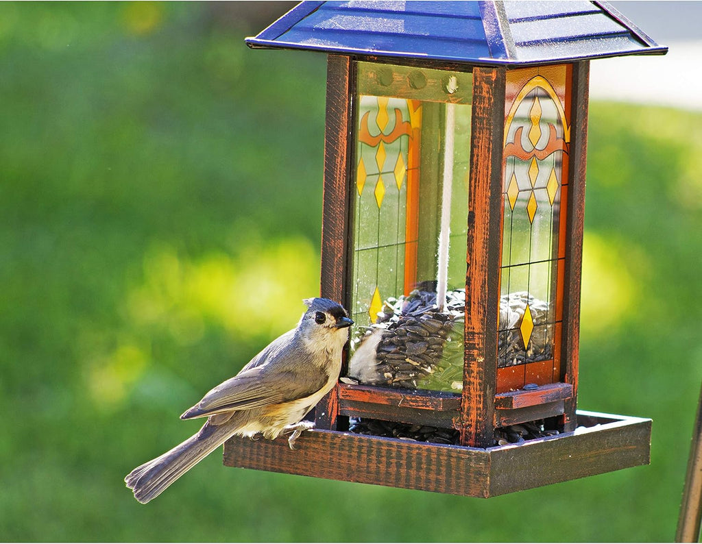 Wagner's 52023 Black Oil Sunflower Seed Wild Bird Food, 5-Pound Bag - Image 9
